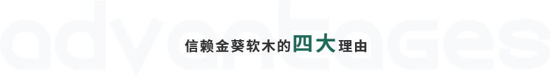 信赖金葵软木的四大理由